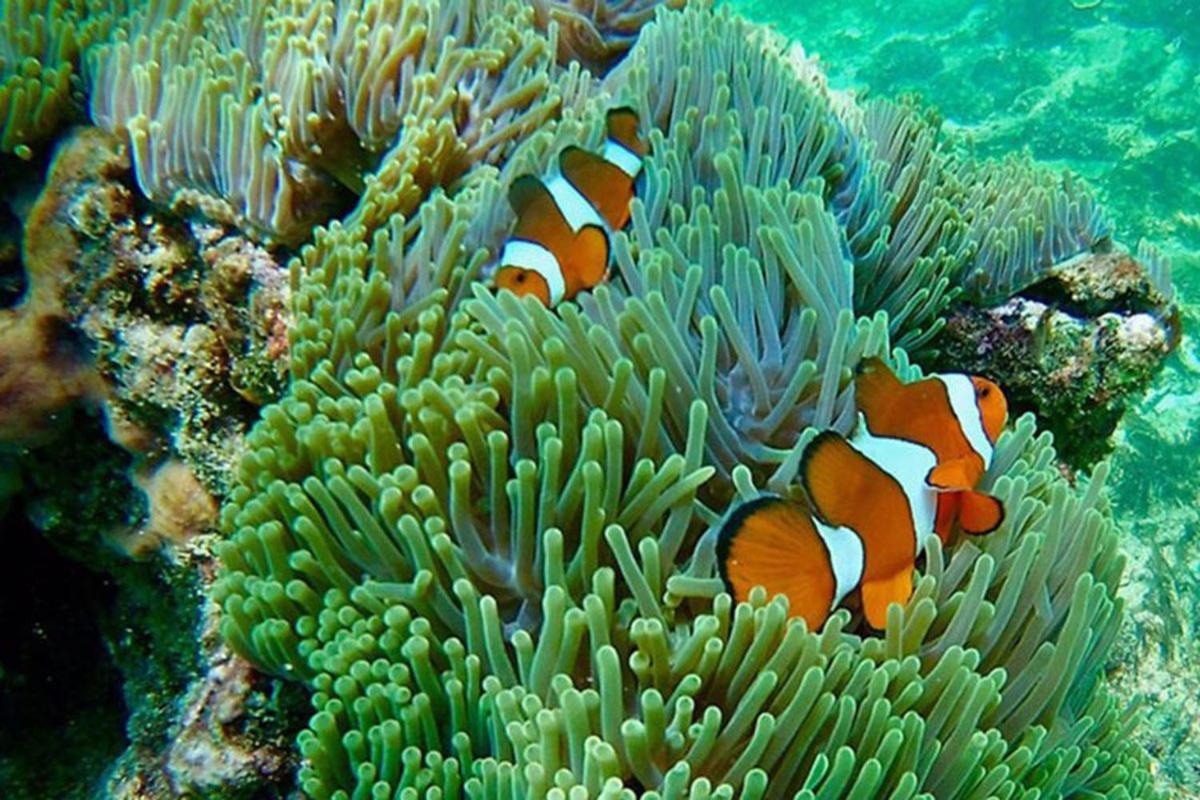 Krabi Grand Hotel Eksteriør bilde